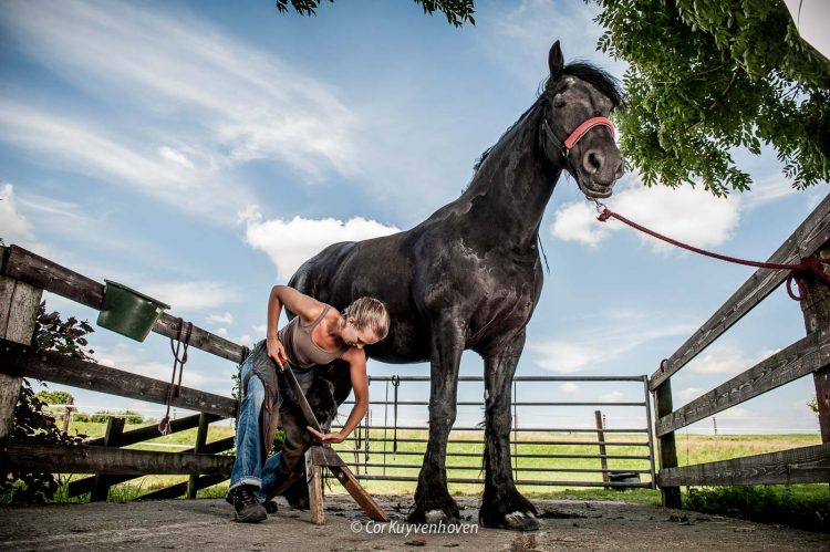 Hoefsmid-vrouw met paard