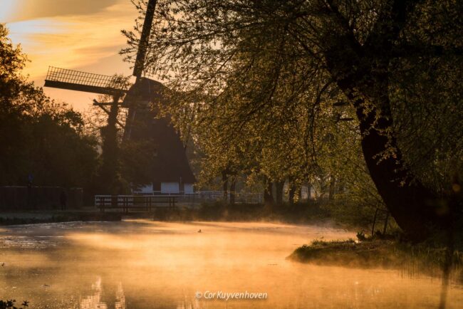 ochtend dauw-molen-rhijnenburger molen