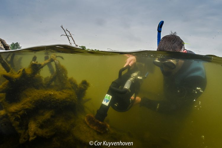 Half onder water half boven water- bioloog BUWA-macrozoobenthos-zuiger