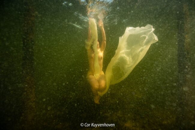 Artistiek naakt onder water