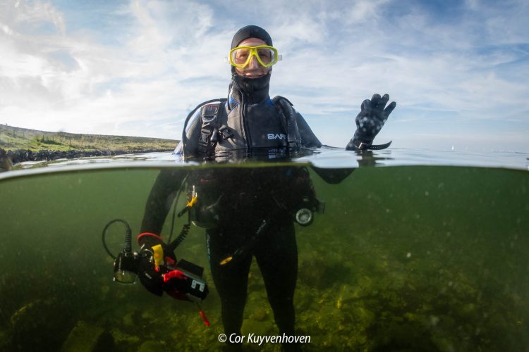 Duiker in zeeland, half/half gefotografeerd