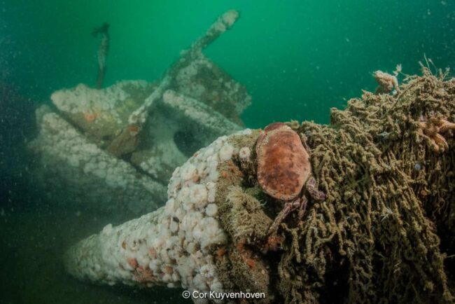 Een onderwaterfoto van een scheepswrak bedekt met verloren visnetten en vastzittende noordzeekrab, genomen door Cor Kuyvenhoven.